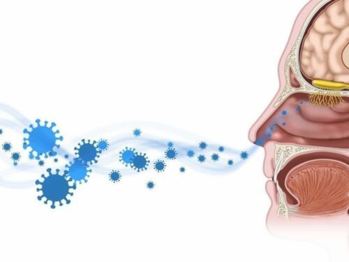 Reukverlies door Corona